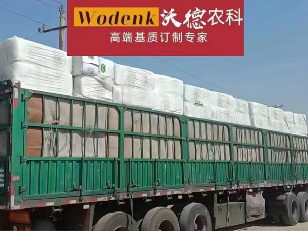 发货现场