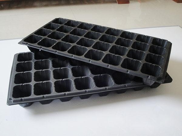 育苗穴盘