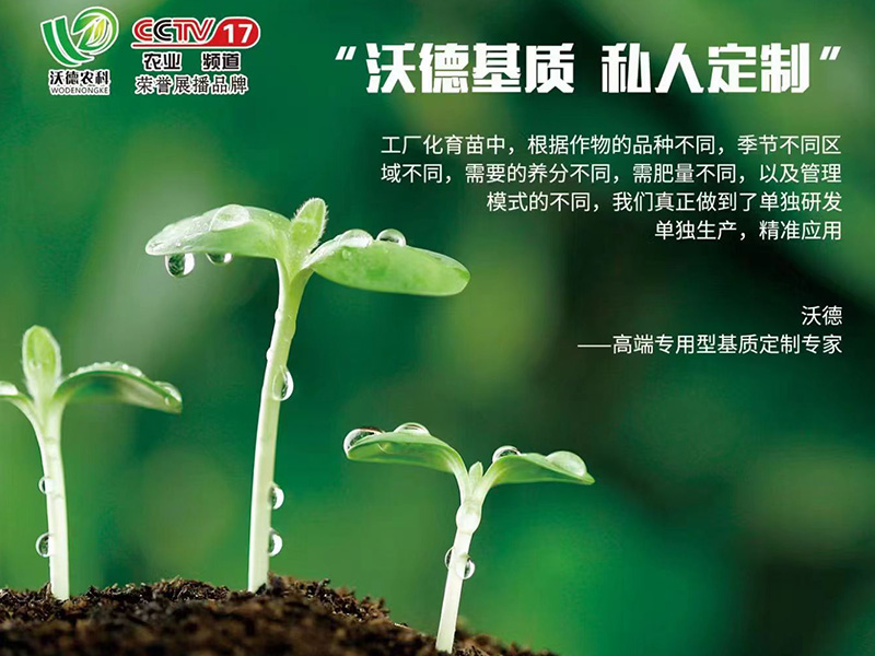 沃德农科视频